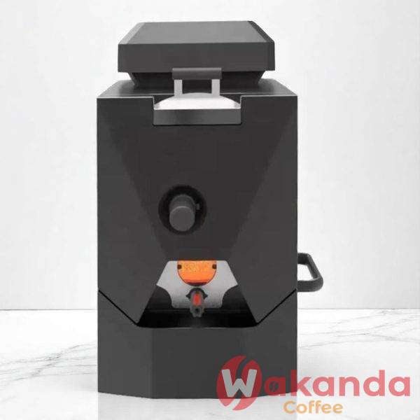 Electric Coffee Roaster