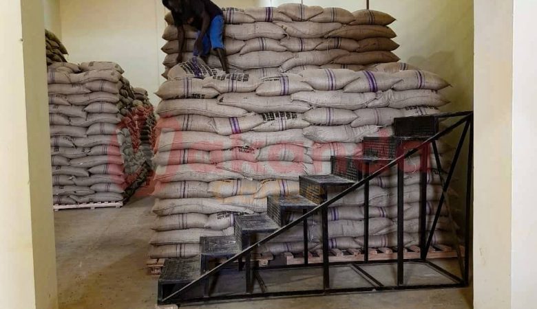 Streamlining Coffee Export: Wakanda Coffee Brokerage’s Expertise in Export Document Handling