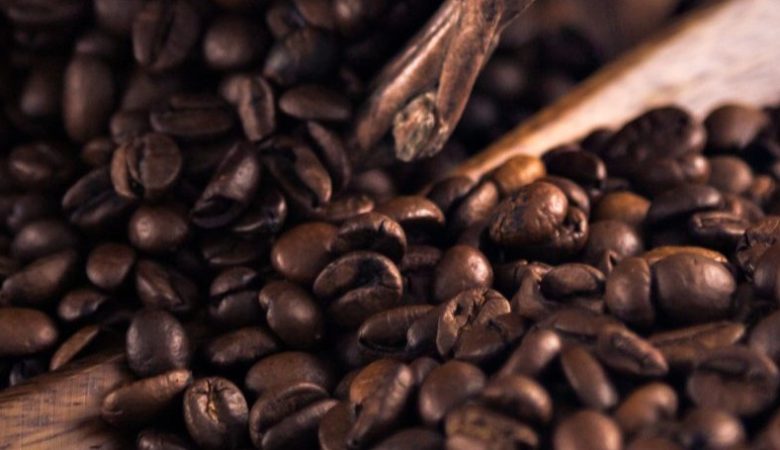 From Farm to Flavor: How Processing Choices Shape Coffee Taste