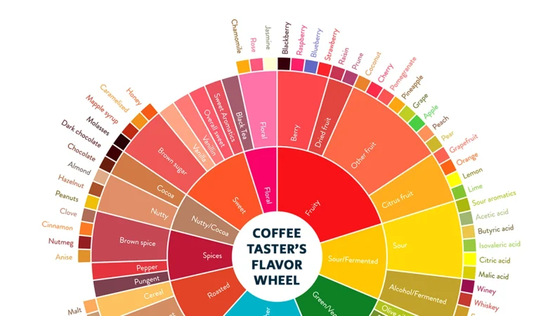 From Farm to Flavor: How Processing Choices Shape Coffee Taste