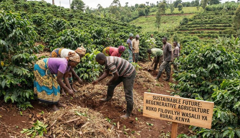 The Future of Coffee Farming: Regenerative Agriculture Practices